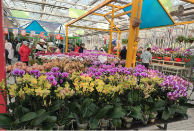 微信图片_2026-02-15_171553_425