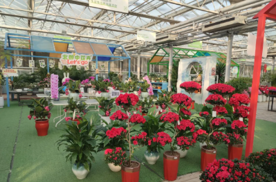 微信图片_2026-02-15_171556_992