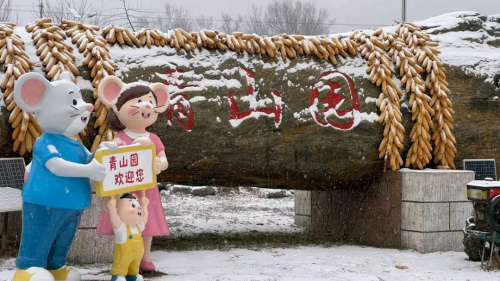 微信图片_2026-02-16_182723_551 微信图片_2026-02-16_182723_551