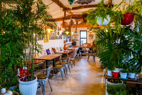 微信图片_2026-02-16_182727_983 微信图片_2026-02-16_182727_983