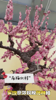 微信图片_2026-02-19_112212_664