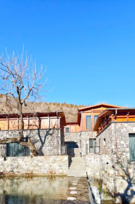 微信图片_2026-02-19_134158_887