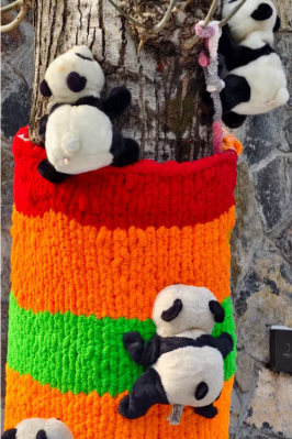 微信图片_2026-02-19_134155_159