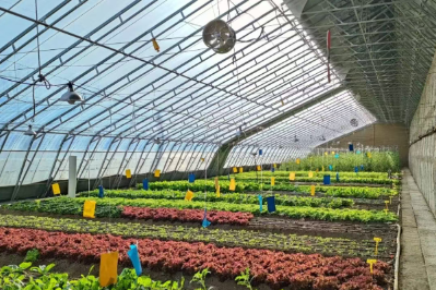 微信图片_2026-02-23_193539_768