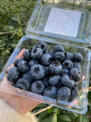 微信图片_2026-02-23_193549_856