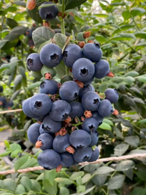 微信图片_2026-02-23_193552_618