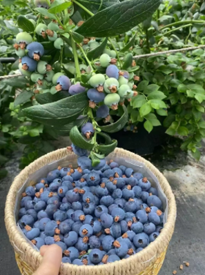 微信图片_2026-02-23_193547_314