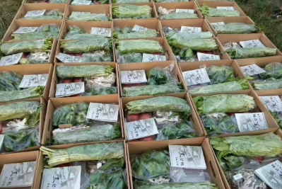 微信图片_2026-02-23_193555_233