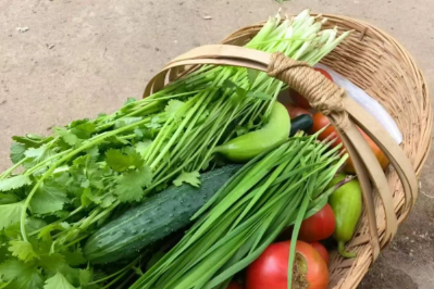 微信图片_2026-02-23_193609_986