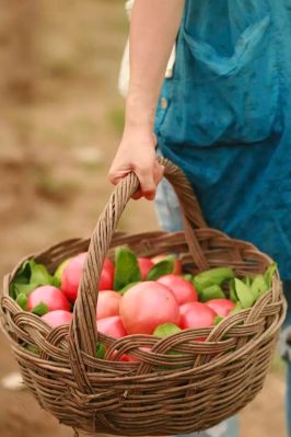 微信图片_2026-02-23_193612_792