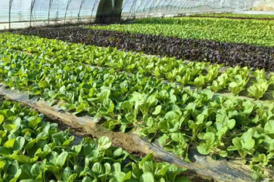 微信图片_2026-02-23_193615_694