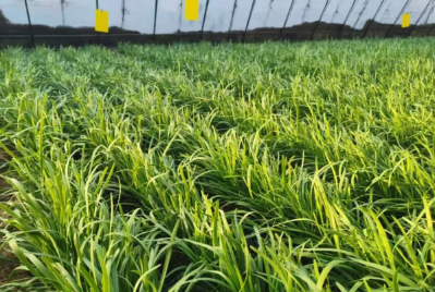 微信图片_2026-02-23_193620_903