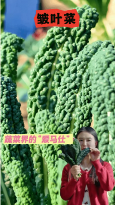 微信图片_2026-02-24_175250_131