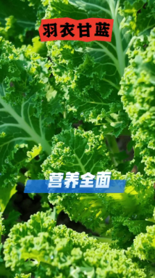 微信图片_2026-02-24_175254_938