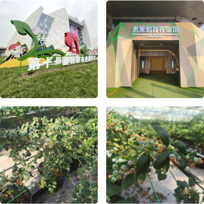 微信图片_2026-02-24_180807_778