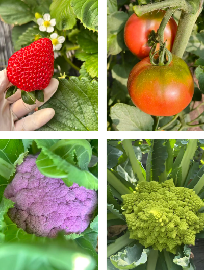 微信图片_2026-02-26_102833_780