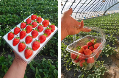 微信图片_2026-02-28_171502_977