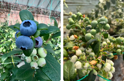 微信图片_2026-02-28_171509_768