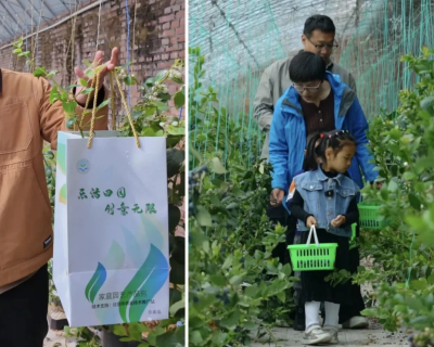 微信图片_2026-02-28_171506_855