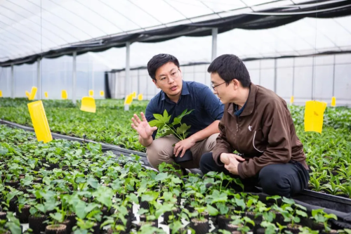 微信图片_2026-01-13_140507_029