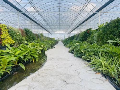 微信图片_2026-01-13_140509_389