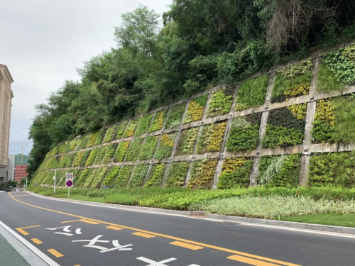 微信图片_2026-01-13_140511_653