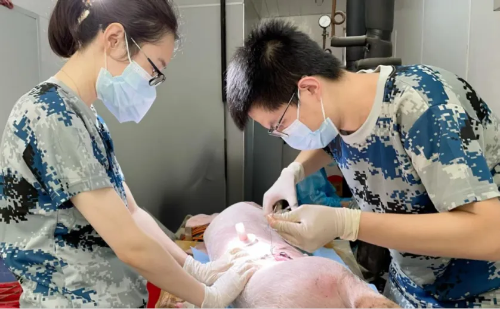 微信图片_2026-01-14_172615_450