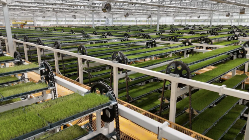 微信图片_2026-01-21_112349_019