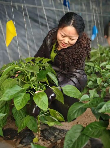 微信图片_2026-01-21_112402_292