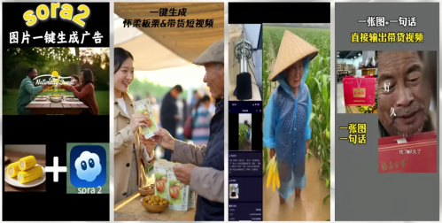 微信图片_2026-01-23_171617_794