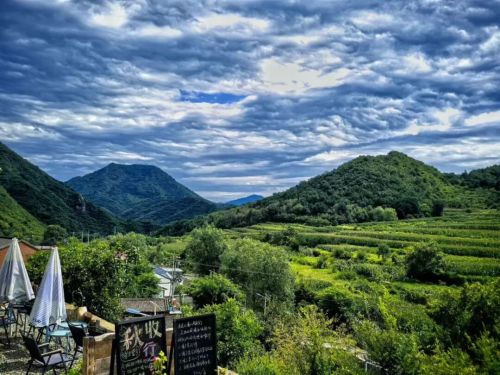 微信图片_2026-01-28_105600_627