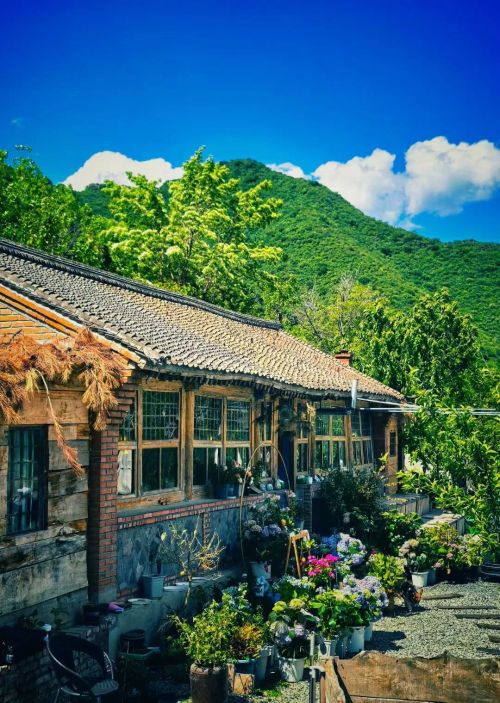 微信图片_2026-01-28_105606_827