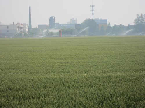 b7c443d0-89d3-41f1-8d5a-f32ea69e9ea3