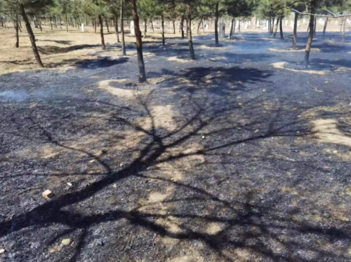 微信图片_20240409102054