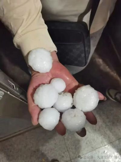 微信图片_20250519113801 微信图片_20250519113801