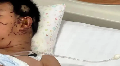 微信图片_2025-08-21_143011_287 微信图片_2025-08-21_143011_287