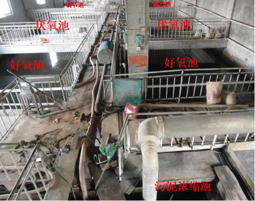 微信图片_2026-02-05_173040_352 微信图片_2026-02-05_173040_352