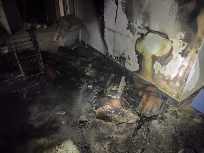 微信图片_2026-03-30_181526_252 微信图片_2026-03-30_181526_252