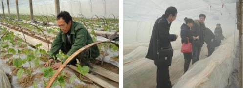 屏幕截图 2023-06-19 112559