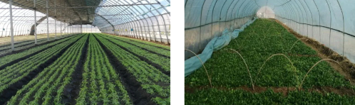 微信图片_2025-10-29_175811_227 微信图片_2025-10-29_175811_227