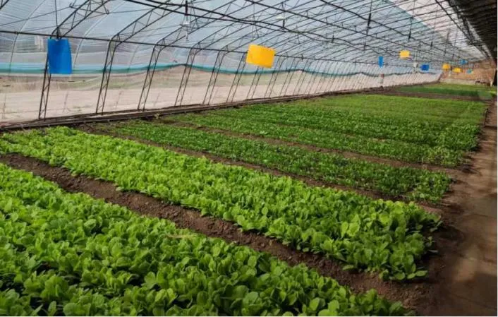 微信图片_2025-10-29_175816_938 微信图片_2025-10-29_175816_938