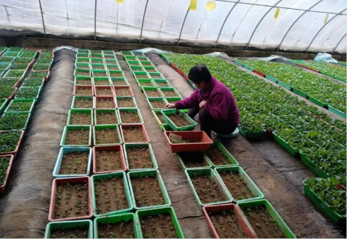 微信图片_2025-10-29_180016_562 微信图片_2025-10-29_180016_562