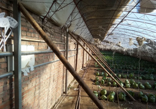 微信图片_2025-10-29_181017_803 微信图片_2025-10-29_181017_803