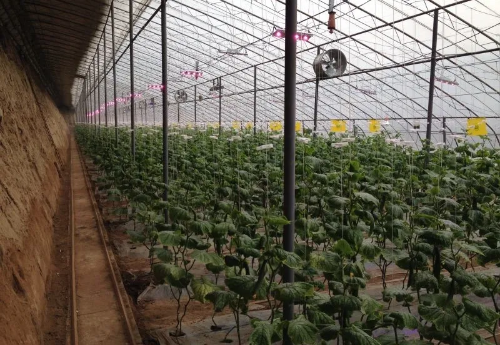 微信图片_2025-10-29_181027_010 微信图片_2025-10-29_181027_010