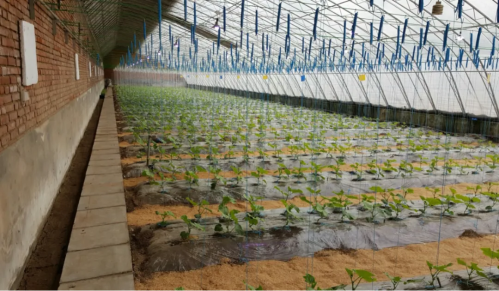 微信图片_2025-10-29_181029_483 微信图片_2025-10-29_181029_483