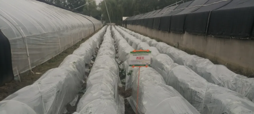 微信图片_2025-10-29_181037_467 微信图片_2025-10-29_181037_467