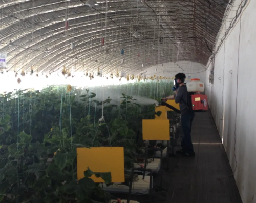 微信图片_2025-10-29_181032_066 微信图片_2025-10-29_181032_066