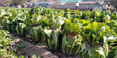 微信图片_2025-10-29_181034_836 微信图片_2025-10-29_181034_836