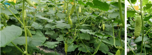 微信图片_2026-01-23_110742_503