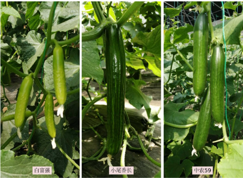 微信图片_2026-01-23_112819_255